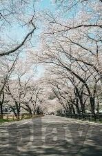 澳门赌场艳遇日-澳门赌场艳遇日,一场意外的邂逅