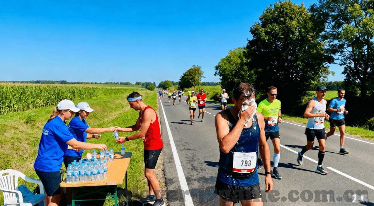 乐发welcome凤凰彩票-乐发welcome与凤凰彩票，数字时代的重塑与重塑者的故事