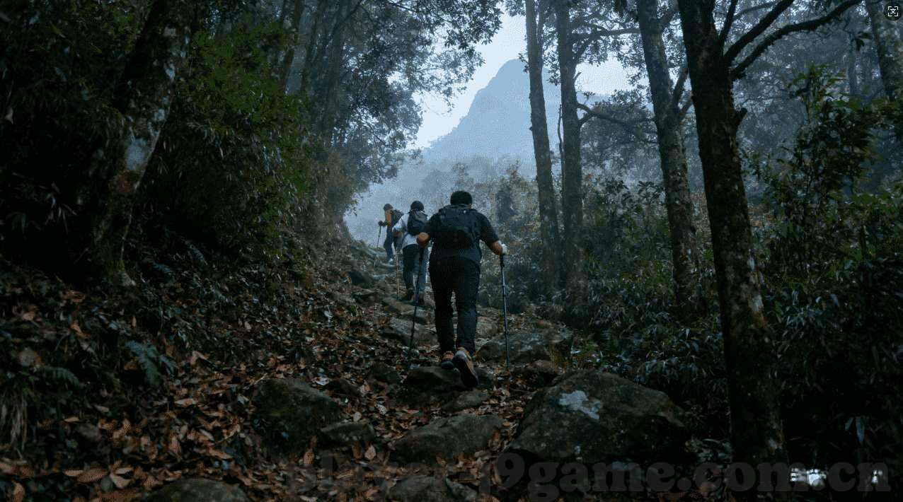 世界杯彩票app暂停-世界杯彩票app暂停背后的原因与影响