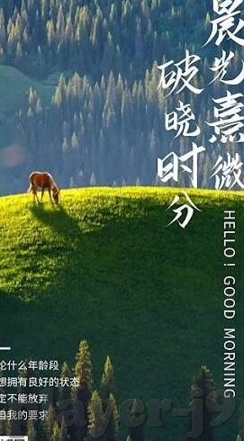 炸金花没输过-炸金花不败的奥秘,策略、心态与技巧的完美融合
